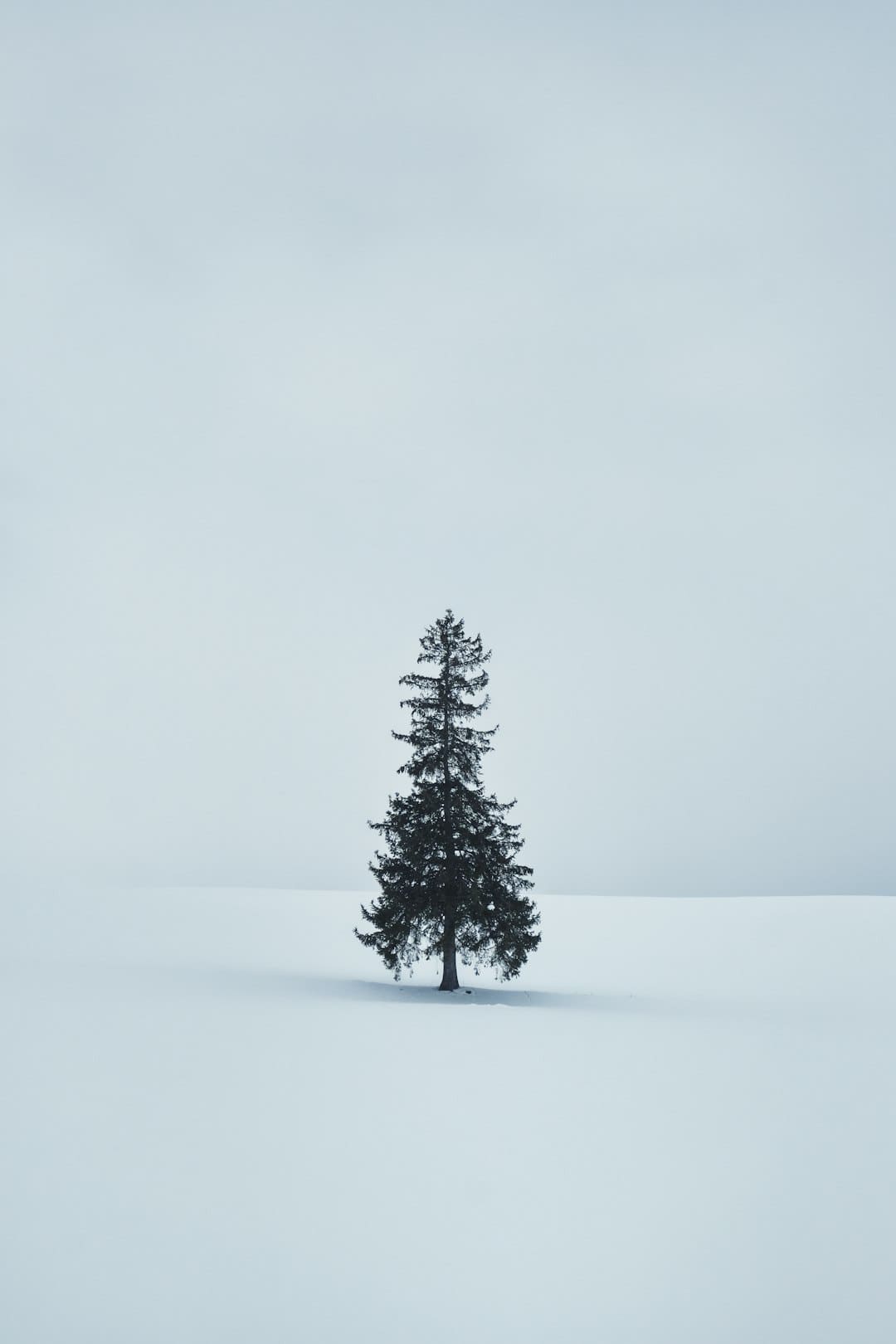 http://n.sinaimg.cn/front/w880h774/20180311/l0C6-fxpwyhw9754129.jpg?zdy